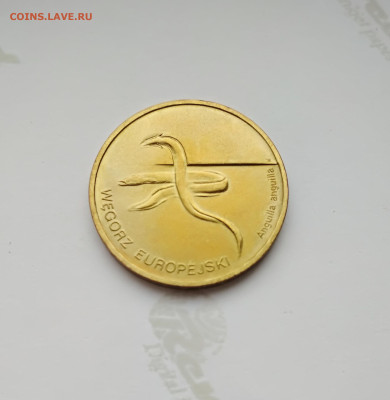 Польша 2 злотых 2003 г. Угорь до 27.04.24г. - 2003 угорь 