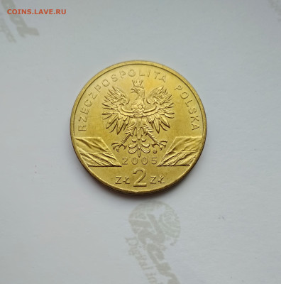 Польша 2 злотых 2005 г. Филин до 27.04.24г. - 2005 Филин 2