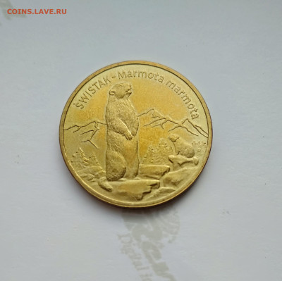 Польша. 2 злотых 2006г. Сурок.до 27.04.24г. - 2006г. Сурок.