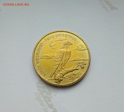 Польша. 2 злотых 2008г. Сапсан.до 27.04.24г. - 2008г. Сапсан