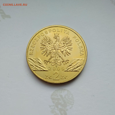 Польша 2 злотых 2009 г. Зеленая ящерица до 27.04.24г. - 2009 года Зеленая ящерица2