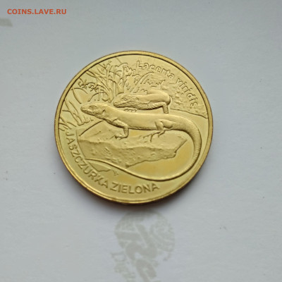 Польша 2 злотых 2009 г. Зеленая ящерица до 27.04.24г. - 2009 года Зеленая ящерица