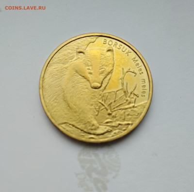 Польша. 2 злотых 2011г. Барсук. до 27.04.24г. - 2011г. Барсук.