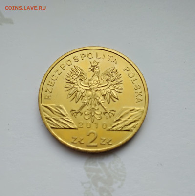Польша 2 злотых 2010г. Летучая мышь до 27.04.24г. - 2010г. Летучая мышь2