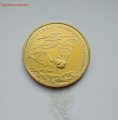 Польша 2 злотых 2010г. Летучая мышь до 27.04.24г. - 2010г. Летучая мышь