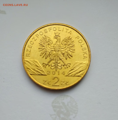 Польша 2 злотых 2014г. Польский коник до 27.04.24г. - 2014г. Польский коник2