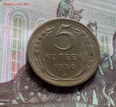 5 копеек 1955. До 27.04.24 в 22.00 - 20240422_144728
