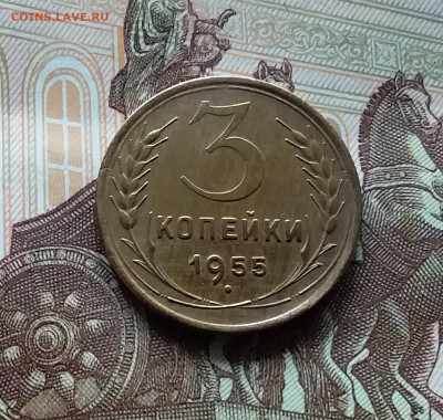 3 копейки 1955. До 27.04.24 в 22.00 - 20240422_155831