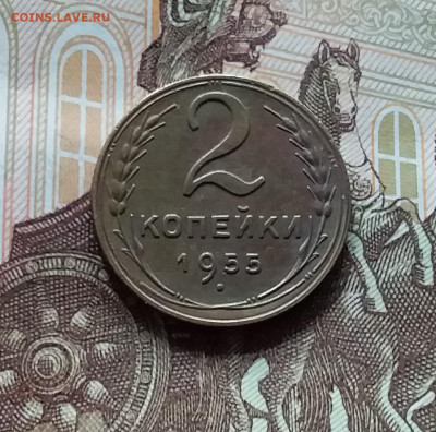 2 копейки 1955. До 27.04.24 в 22.00 - 20240422_161950