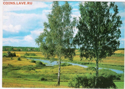 Вид на реку Сороть 1989 г. до 29.04.24 г. в 23.00 - 047