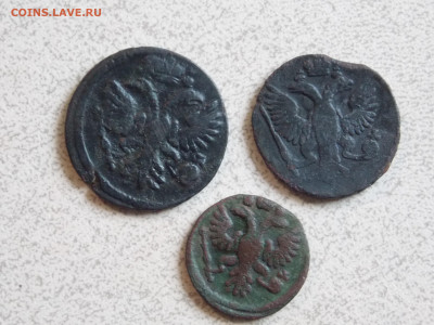 Денга 1731, 1746 г., полушка 1735 г. до 2 05 - DSCN0171.JPG