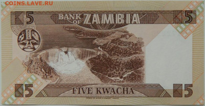 Замбия 5 квача 1980 г.  до 02.05.24 - DSCN7421.JPG