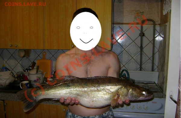 как правильно ловить рыбу? - Рыбка.JPG