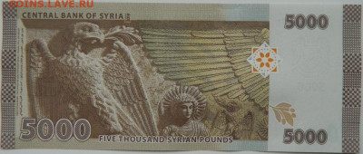 Сирия 5000 фунтов 2019 г.  до 02.05.24 - DSCN7425.JPG