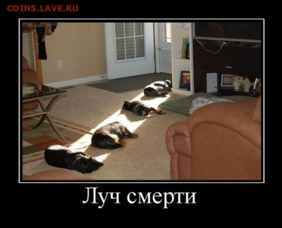 Юмор - Луч