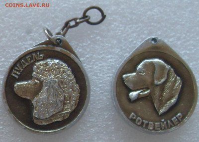 шт - SDC17520.JPG