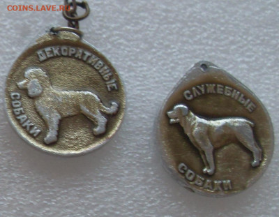 шт - SDC17519.JPG