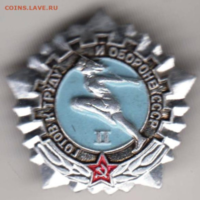 24 г. в 23.00 - 029