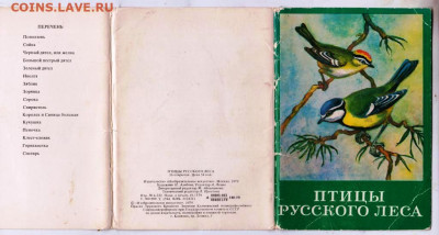 ПТИЦЫ РУССКОГО ЛЕСА 1979 г. до 06.05.24 г. в 23.00 - 085