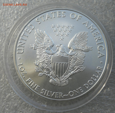 1 доллар США 2008г шагающая свобода до 6.05 в 22-00 - IMG_20240430_171557