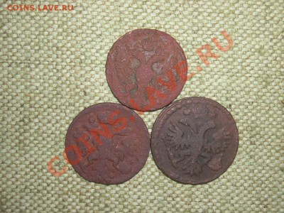 Денга до22.01.12г.(22-00 мск) - SPA51677.JPG