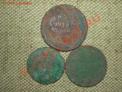 Уставшие копейки до22.01.12г.(22-00мск). - SPA51678.JPG
