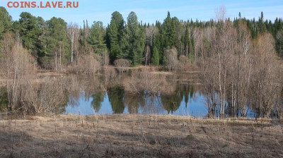ФОТО - просто фото. Те что получились удачными. - 1