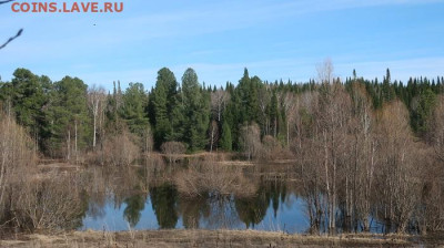 ФОТО - просто фото. Те что получились удачными. - 2