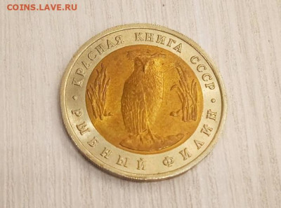 Комплект Красной Книги 1991 до 04.05.2024 в 22:00 мск - 2024-05-01_20-51-02_233