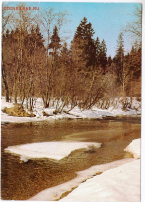 ВЕСНА 1989 г. до 08.05.24 г. в 23.00 - 029