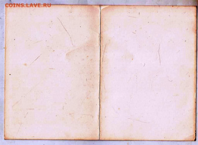 К. Коровин ЦВЕТЫ Гурзуф 1916 г. до 08.05.24 г. в 23.00 - 039