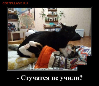 Ассоциация слов. - 5c1b80ea85e9a