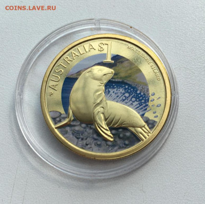 Австралия 1$ доллар 2011 Морской котик Тюлень острова Маккуо - avstralija_1_dollar_2011_morskoj_kotik_tjulen_ostrova_makkuori_zhivotnye_fauna_emal