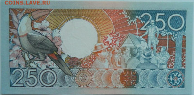 Суринам 250 гульденов 1988 г. до 10.05.24 - DSCN7495.JPG