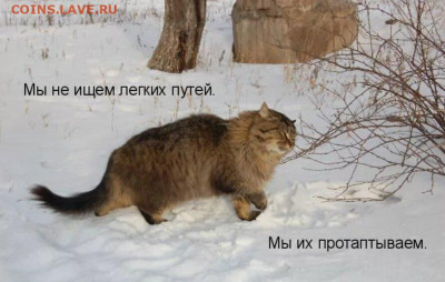 Ассоциация слов. - scale_1200