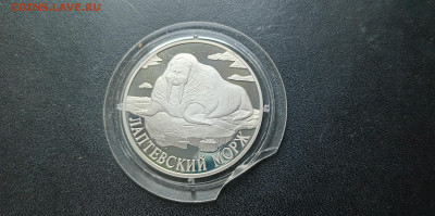 1 рубль 1998 Лаптевский морж До 12.05.2024 20-00мск - 20240505_205659