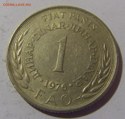 1 динар 1976 ФАО Югославия №1 12.05.2024 22:00 МСК - CIMG4420.JPG