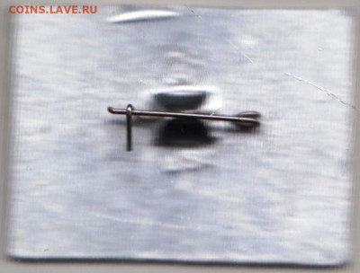 24 г. в 23.00 - 003