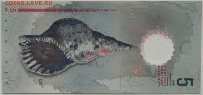 Мальдивские острова 5 руфий 2017 г. (Полимер) до 13.05.24 - DSCN7671.JPG