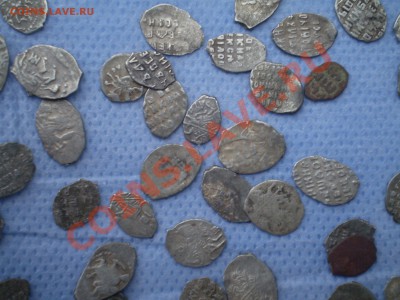 продаю чешую - P1010014.JPG