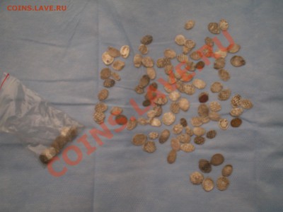 продаю чешую - P1010021.JPG