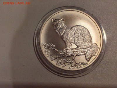 3 рубля 1995 Соболь, Ag925, до 14.05 - Y Соболь-1