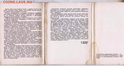 КОМНАТНЫЕ РАСТЕНИЯ 1983 г. до 14.05.24 г. в 23.00 - 032