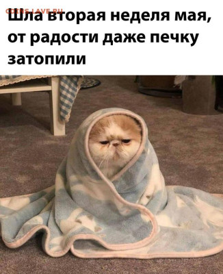 перекличка городов по температуре - shnsfcUx_YU