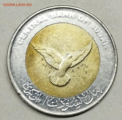 50 пиастров Судана, 2006г., до 11.05.24г. - IMG_20240507_132724
