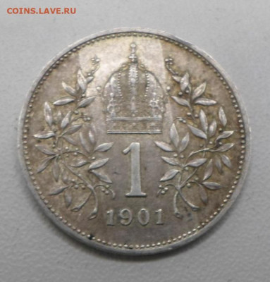 Австро-Венгрия 1 крона 1901г. Франц Иосиф I Серебро до 11.05 - SAM_3271.JPG