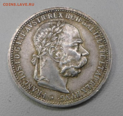 Австро-Венгрия 1 крона 1901г. Франц Иосиф I Серебро до 11.05 - SAM_3270.JPG