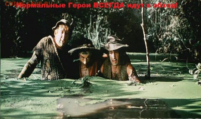 Ассоциация слов. - scale_1200