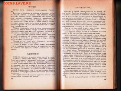 Мудрость веков 1989 г. до 16.05.24 г. в 23.00 - 031