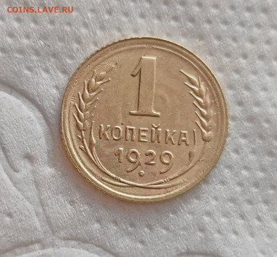 1 копейка 1929г. до 13.05.24г. - 2024-05-10_18h07_39